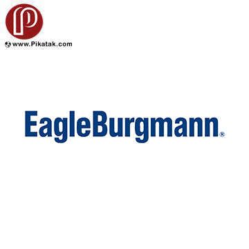 تصویر برای تولیدکننده: EAGLE BURGMANN