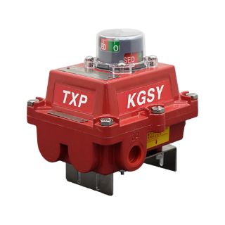 لیمیت سوئیچ ضد انفجار KGSY مدل TXP