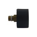 تصویر  گیج فشار قاب مشکی برنج Argo Filter صفحه 4 سانت خشک افقی 0-4 بار