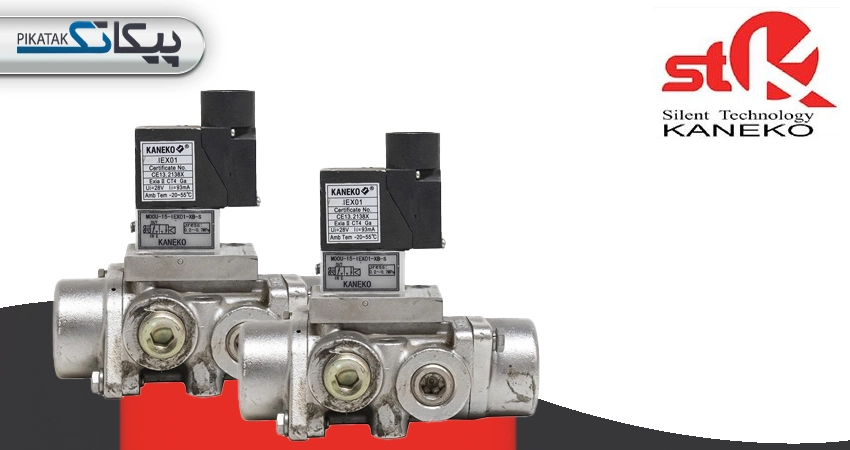 معرفی برند KANEKO