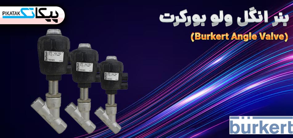 انگل ولو بورکرت