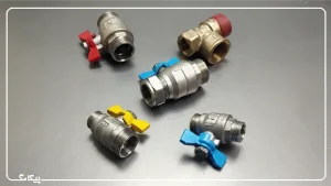 شیر پروانه ای