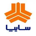 asset 6